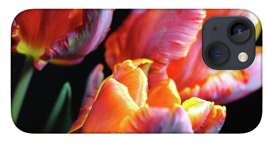 Red and Orange Tulips - Phone Case
