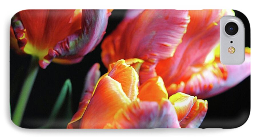 Red and Orange Tulips - Phone Case