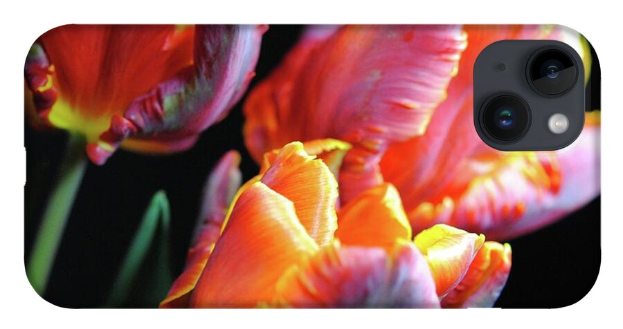 Red and Orange Tulips - Phone Case
