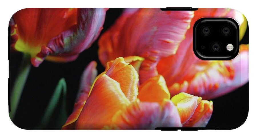 Red and Orange Tulips - Phone Case