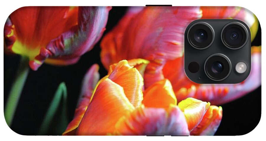 Red and Orange Tulips - Phone Case