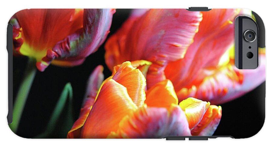 Red and Orange Tulips - Phone Case