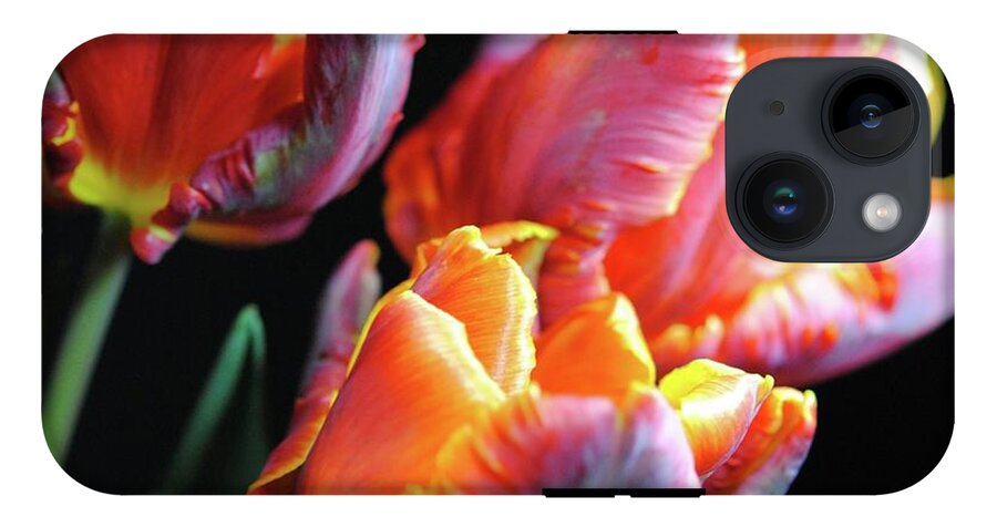 Red and Orange Tulips - Phone Case