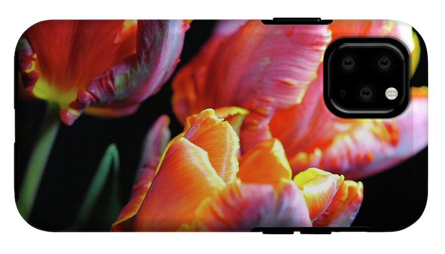 Red and Orange Tulips - Phone Case