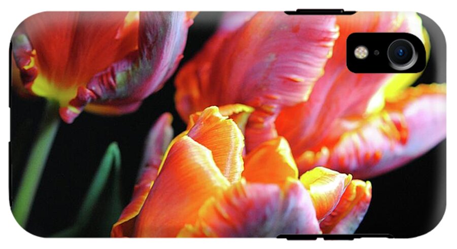 Red and Orange Tulips - Phone Case