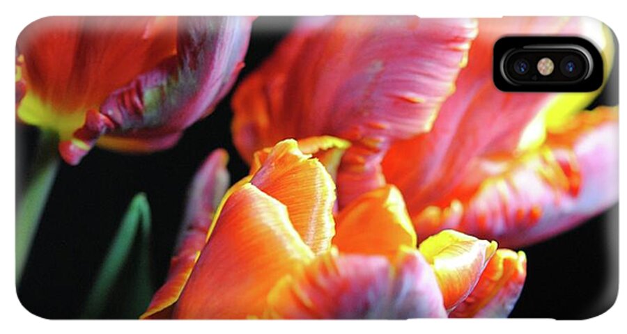 Red and Orange Tulips - Phone Case