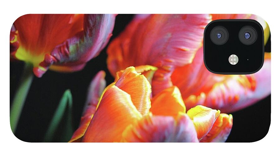 Red and Orange Tulips - Phone Case