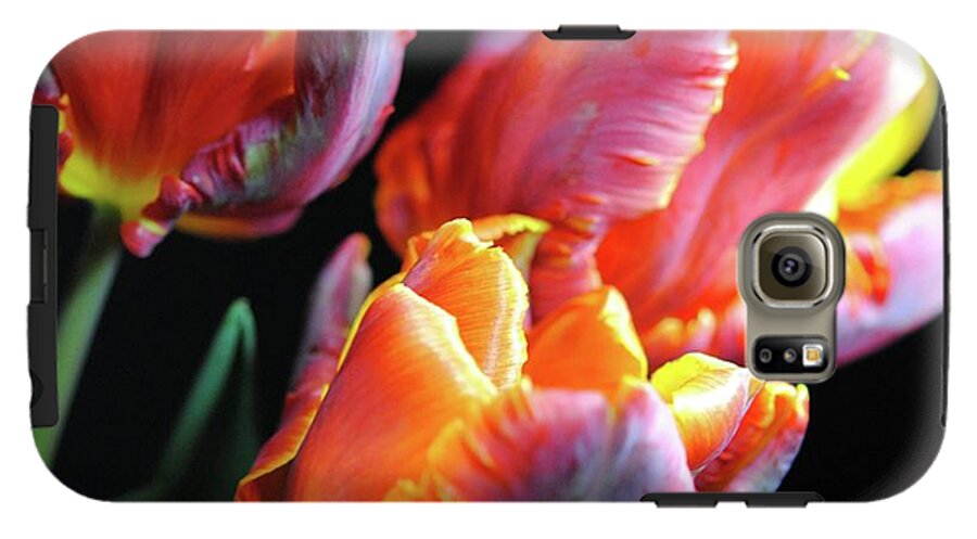 Red and Orange Tulips - Phone Case