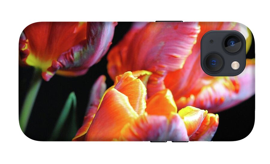 Red and Orange Tulips - Phone Case
