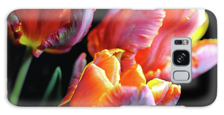 Red and Orange Tulips - Phone Case