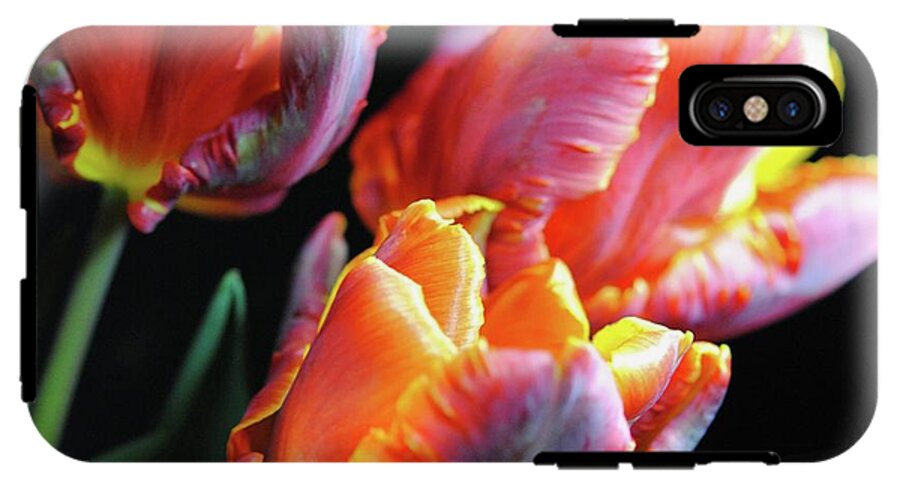 Red and Orange Tulips - Phone Case