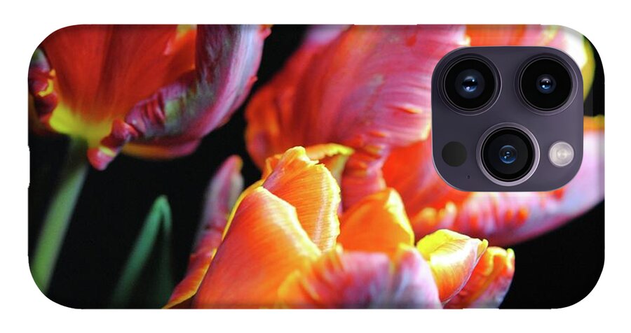 Red and Orange Tulips - Phone Case