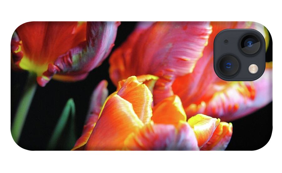 Red and Orange Tulips - Phone Case