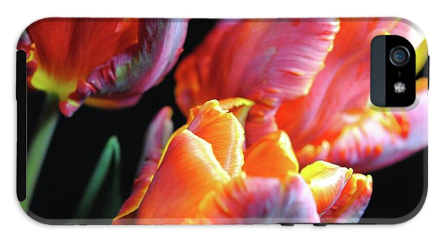 Red and Orange Tulips - Phone Case