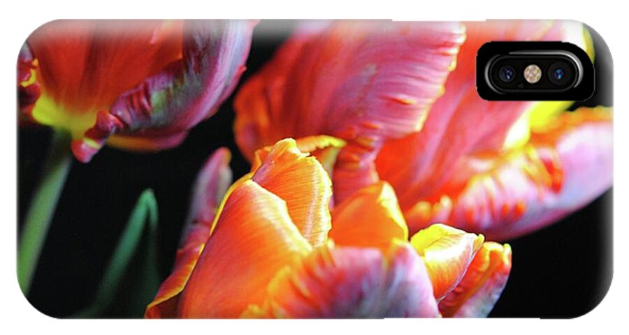 Red and Orange Tulips - Phone Case