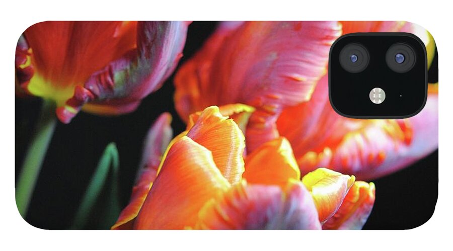Red and Orange Tulips - Phone Case