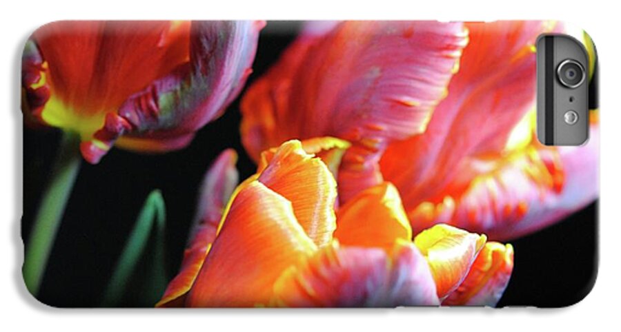 Red and Orange Tulips - Phone Case