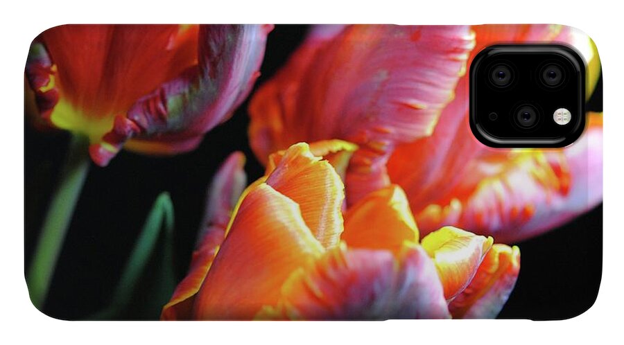 Red and Orange Tulips - Phone Case