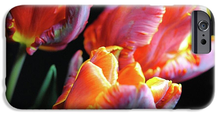 Red and Orange Tulips - Phone Case