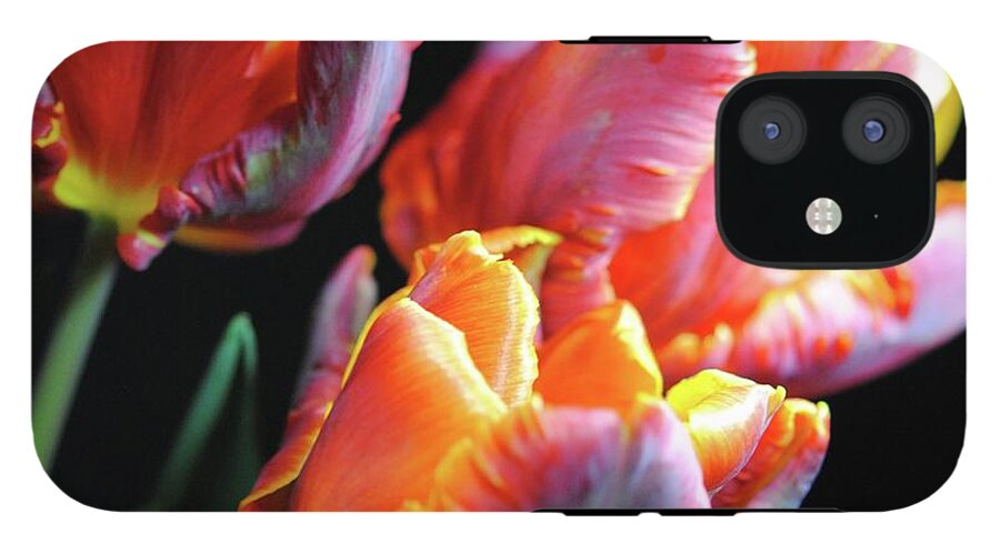 Red and Orange Tulips - Phone Case