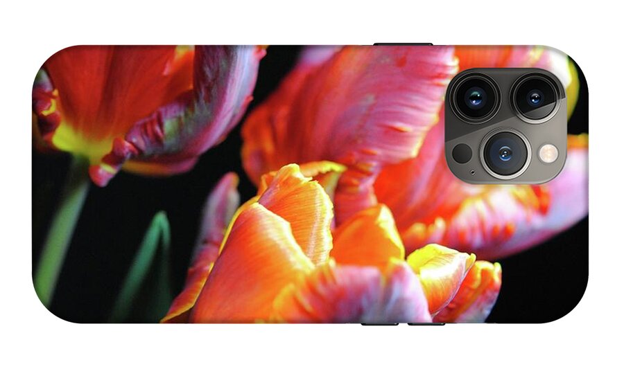 Red and Orange Tulips - Phone Case