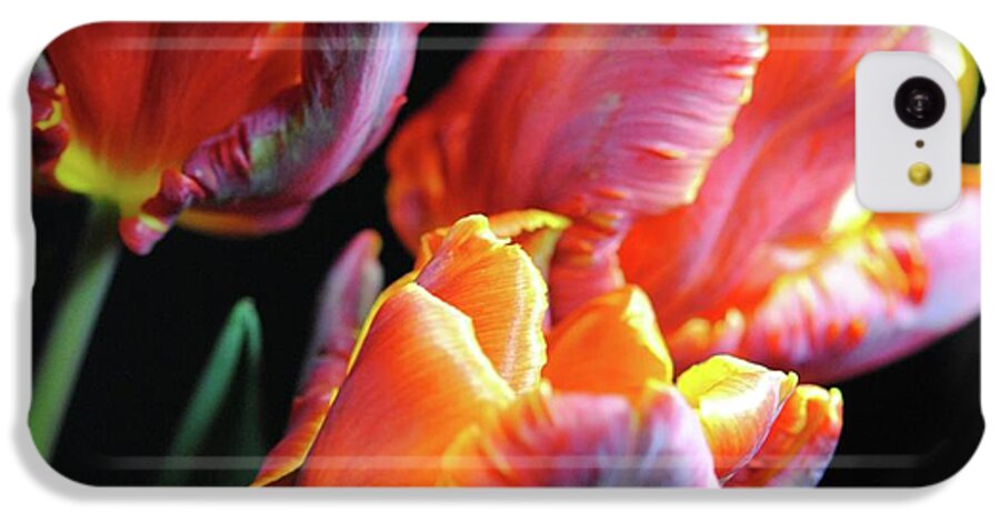 Red and Orange Tulips - Phone Case