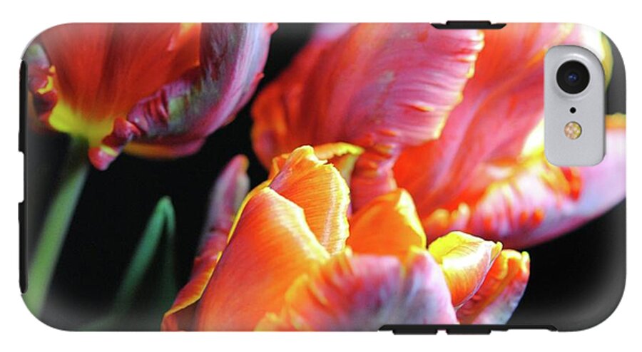 Red and Orange Tulips - Phone Case