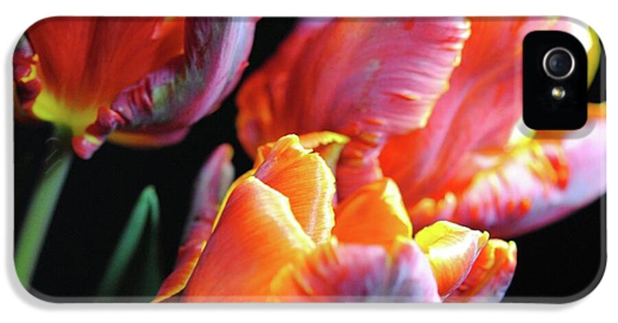 Red and Orange Tulips - Phone Case
