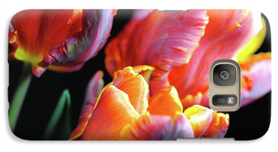 Red and Orange Tulips - Phone Case