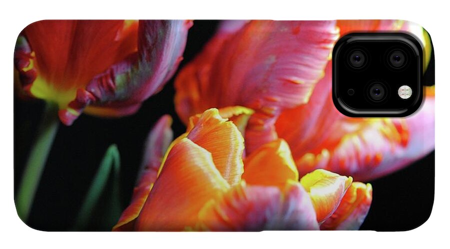 Red and Orange Tulips - Phone Case