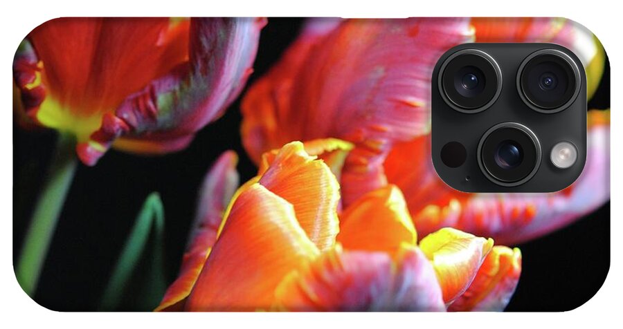Red and Orange Tulips - Phone Case