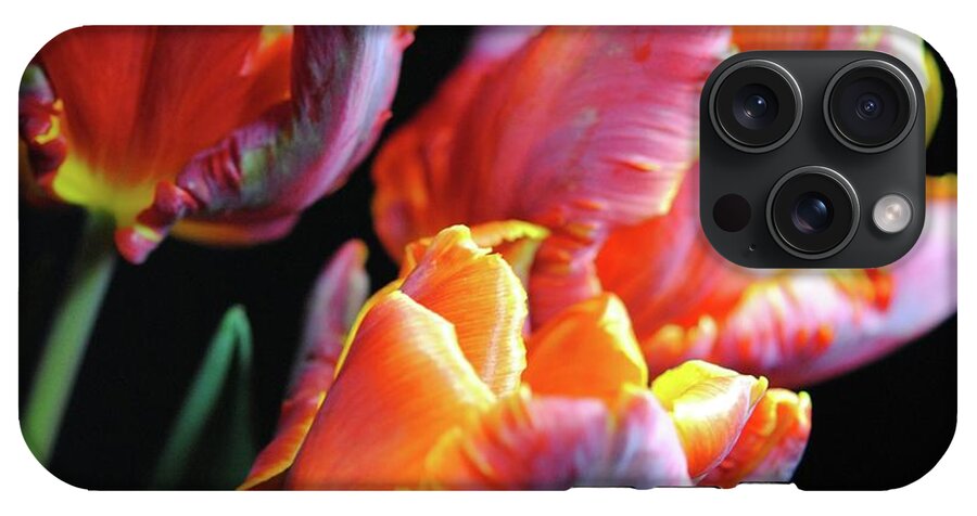 Red and Orange Tulips - Phone Case