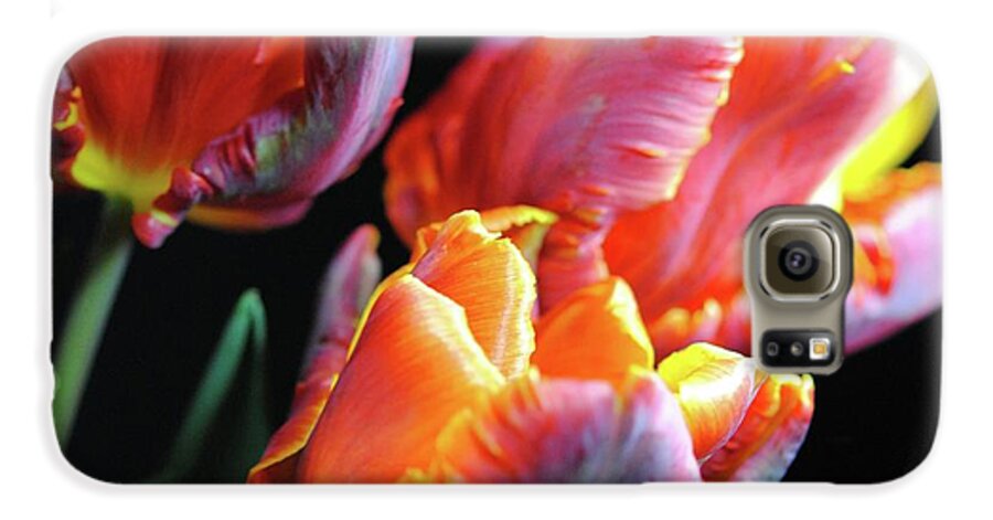 Red and Orange Tulips - Phone Case
