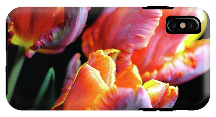 Red and Orange Tulips - Phone Case