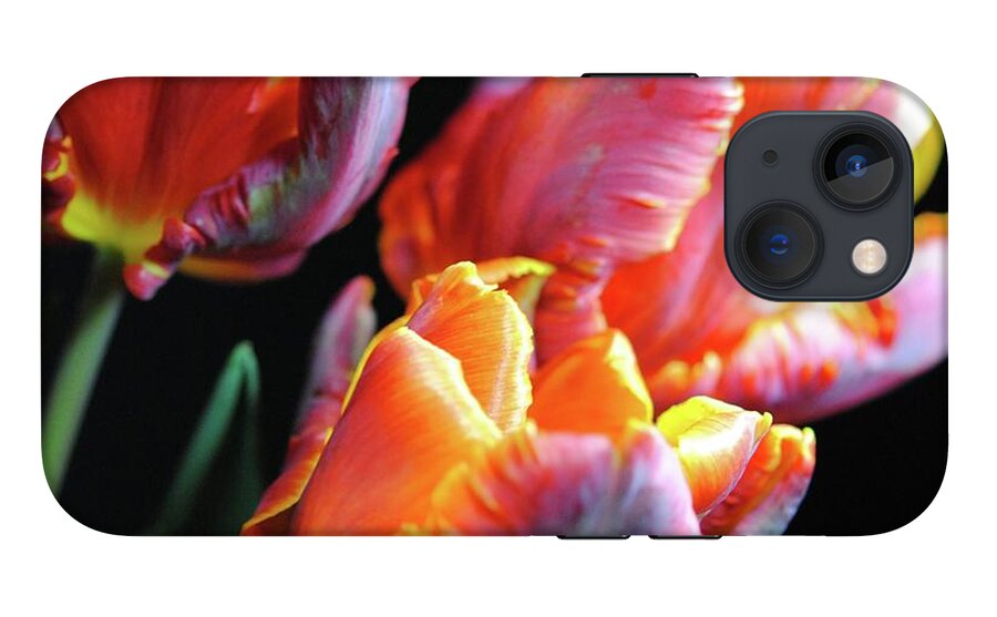 Red and Orange Tulips - Phone Case