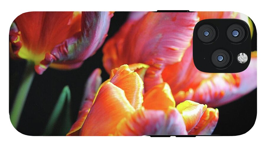 Red and Orange Tulips - Phone Case