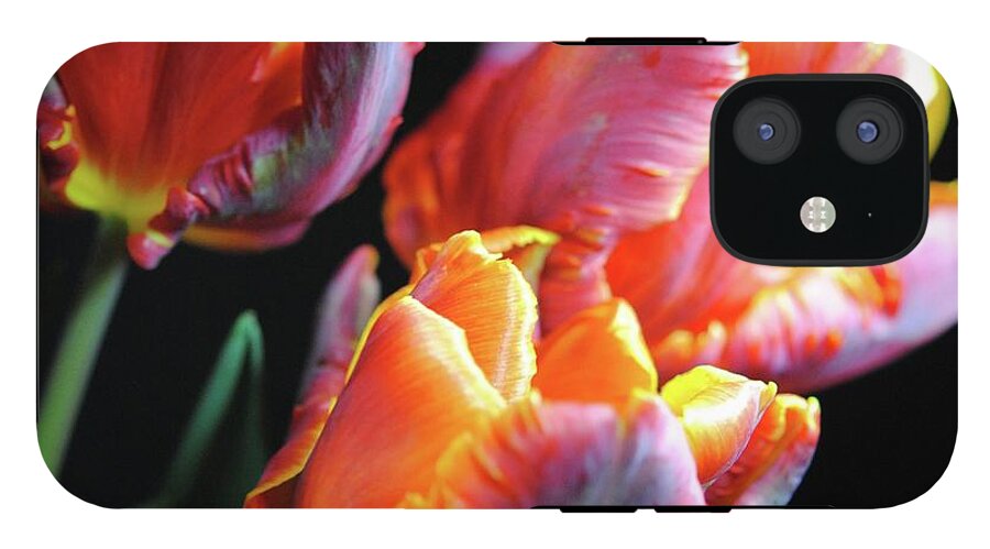 Red and Orange Tulips - Phone Case