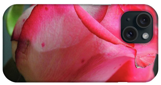 Red and White Rose in Soft Light - Phone Case