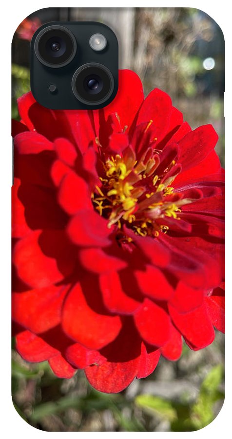 Red Flower In Autumn - Phone Case