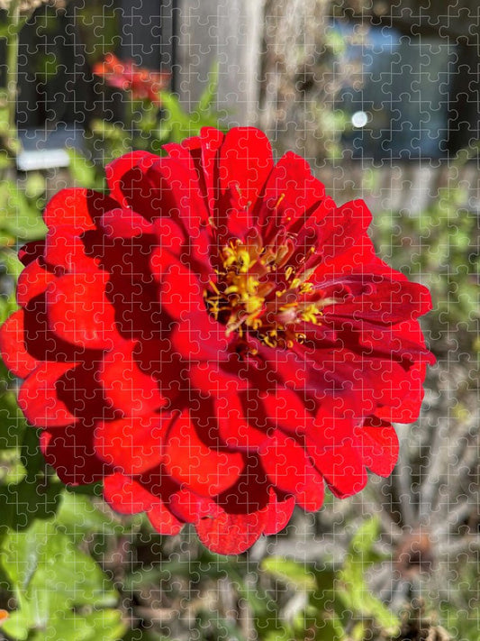 Red Flower In Autumn - Puzzle