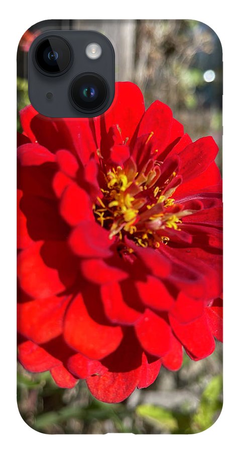 Red Flower In Autumn - Phone Case