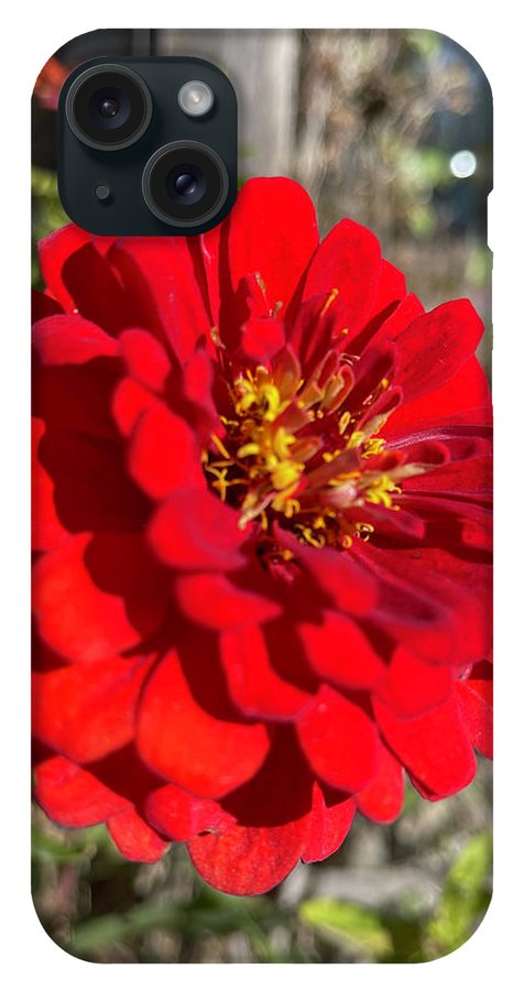 Red Flower In Autumn - Phone Case