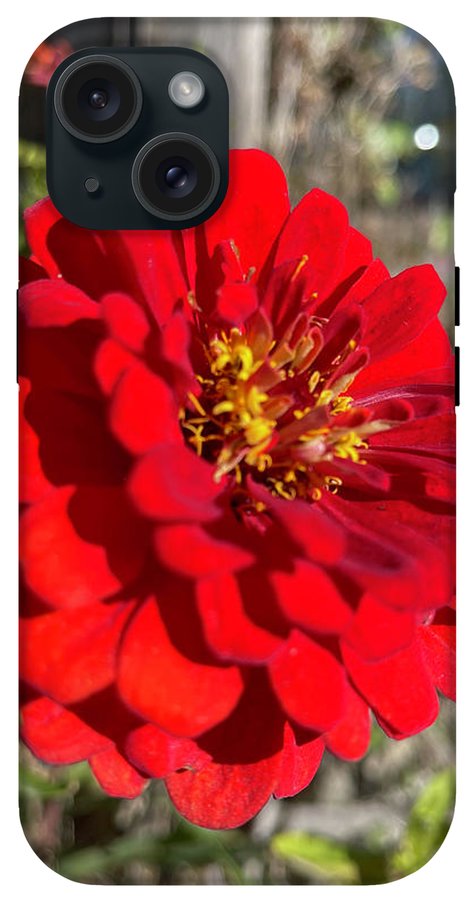 Red Flower In Autumn - Phone Case