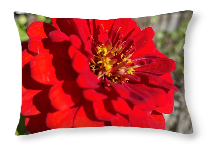 Red Flower In Autumn - Throw Pillow