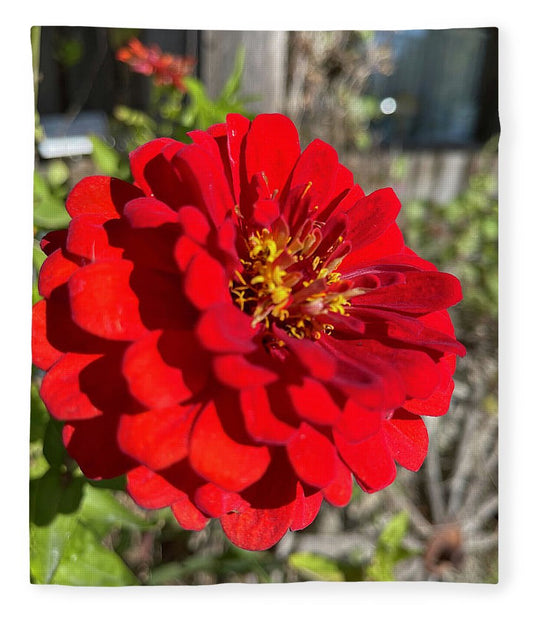Red Flower In Autumn - Blanket