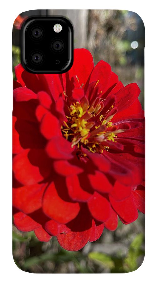 Red Flower In Autumn - Phone Case