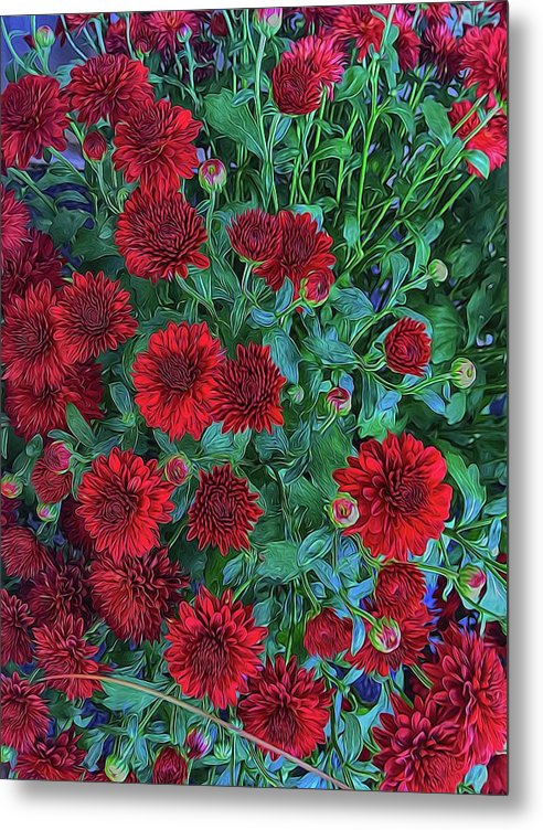 Red Mums - Metal Print