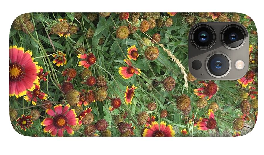 Red Orange Flower Garden - Phone Case