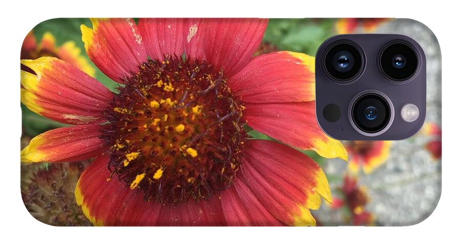 Red Orange Flower With Pollen - Phone Case