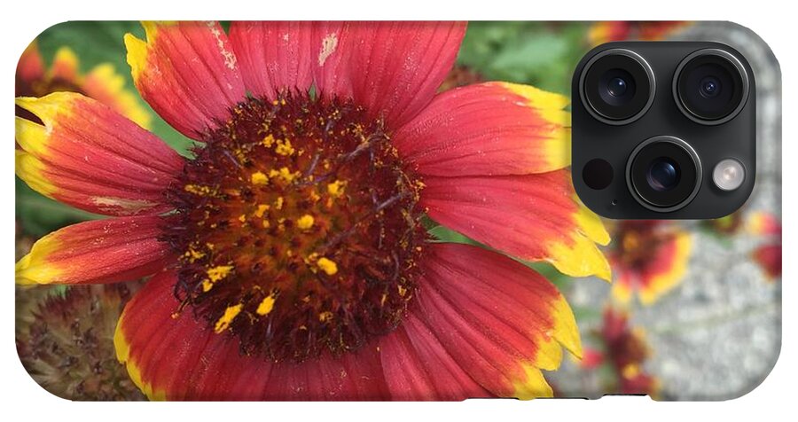 Red Orange Flower With Pollen - Phone Case